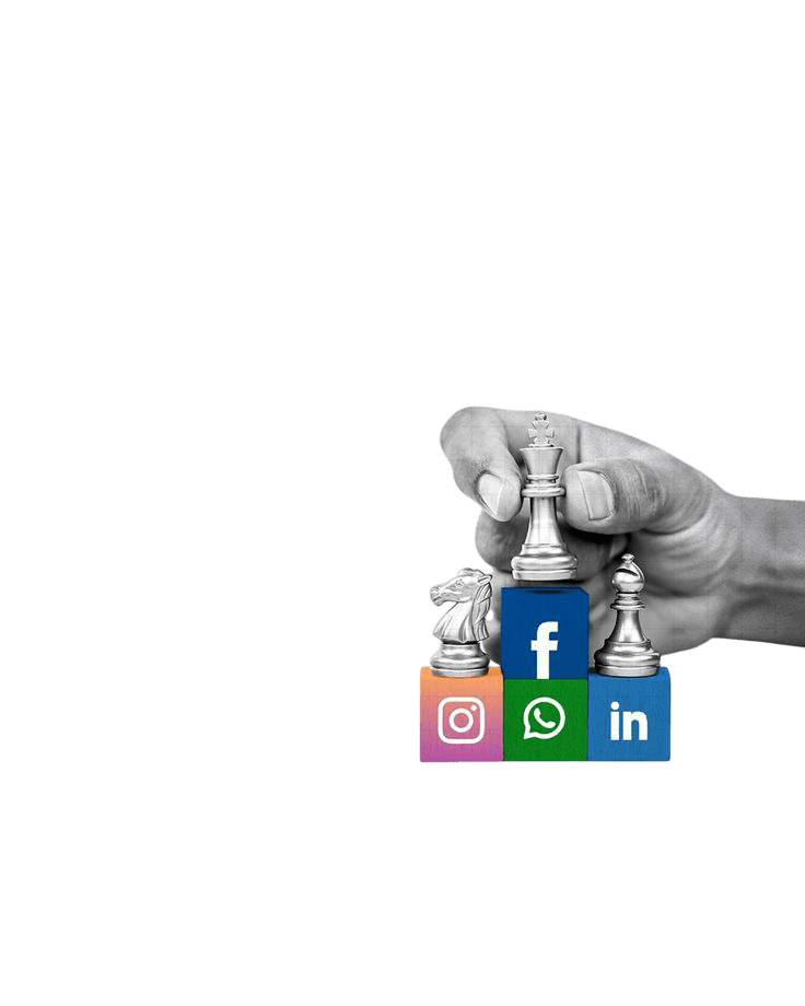 create-website-on-wordpress-with-datamatex-in-bhiwandi